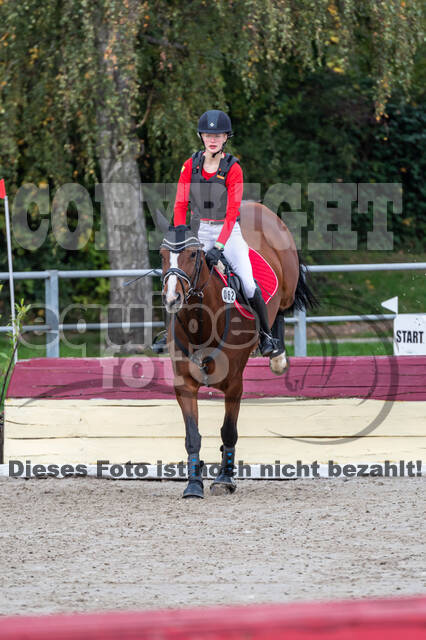 Goldene Schärpe 2020 - Pferde