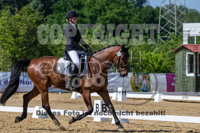 Westerstede Horse Trials 2021