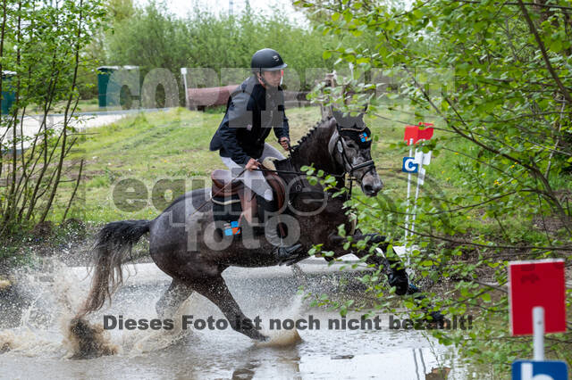 Geländepferdetag beim ZRFV von Lützow Hamminkeln (08.05.2021)