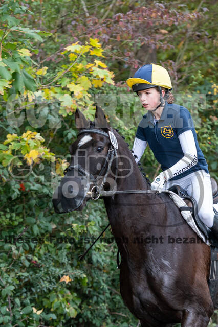 Goldene Schärpe 2020 - Pferde