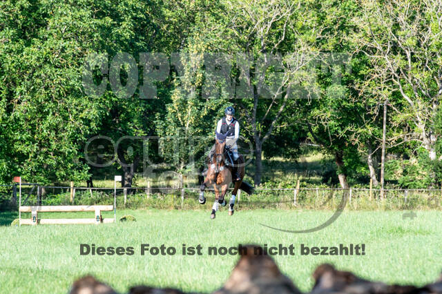 Bonn-Rodderberg Late-Entry-Vielseitigkeit (30.06.2020)