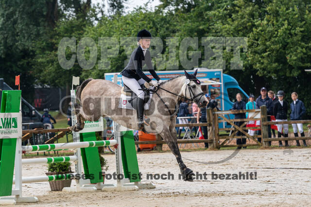 Goldene Schärpe 2021 - Ponys