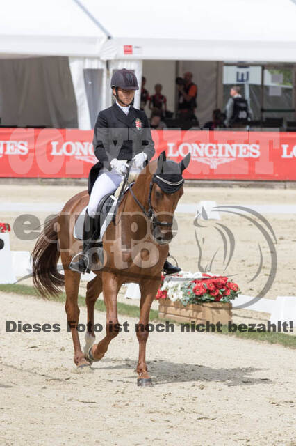 FEI European Championship Eventing 2017