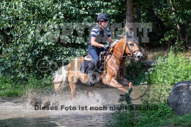 Hunter Geländetraining (16.08.2020)