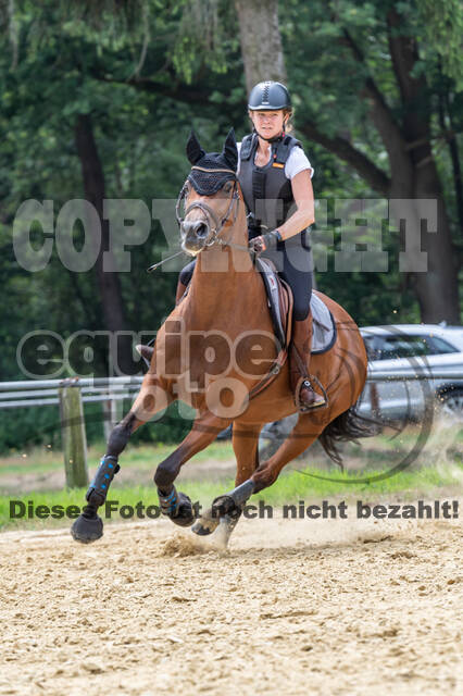 Hunter Geländetraining 10.07.2021 (Sonsbeck)