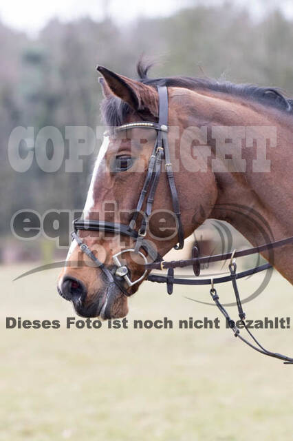 Geländetraining RSV St. Hubertus Wesel Obrighoven