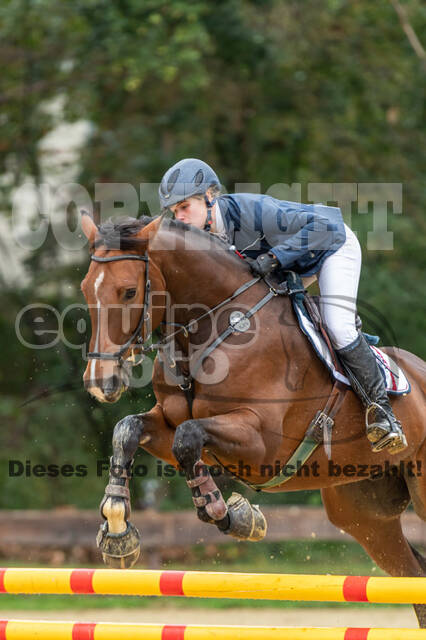 Vielseitigkeit RSV Wesel Obrighoven (26.+27.09.2020)