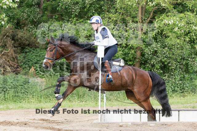 Vielseitigkeitsturnier ZRFV von Lützow Hamminkeln
