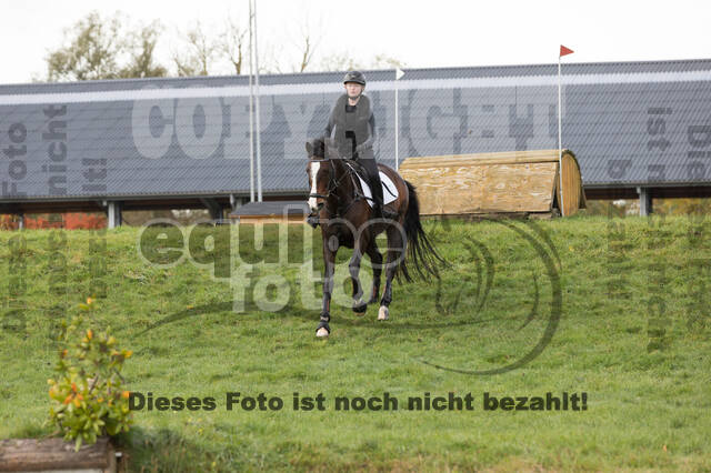 IGV Lehrgang der Sieger der Cups mit Frank Ostholt