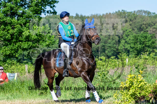 Westerstede Horse Trials (10.-13.06.2021)