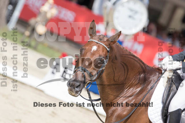 FEI European Championship Eventing 2017