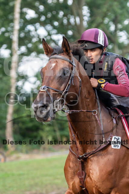 De Peelbergen (August 2020)