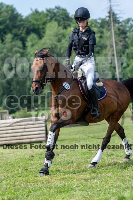 Goldene Schärpe 2021 - Ponys