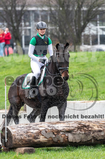 Goldene Schärpe 2020 - Pferde