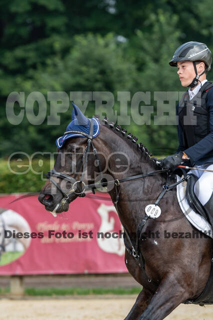 Goldene Schärpe 2021 - Ponys