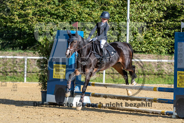 RFV Dinslaken-Hiesfeld (Herbstturnier)