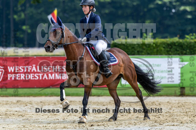 Goldene Schärpe 2021 - Ponys