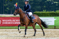 Goldene Schärpe 2021 - Ponys