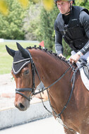 Eventing im Pferdesportzentrum Rheinland