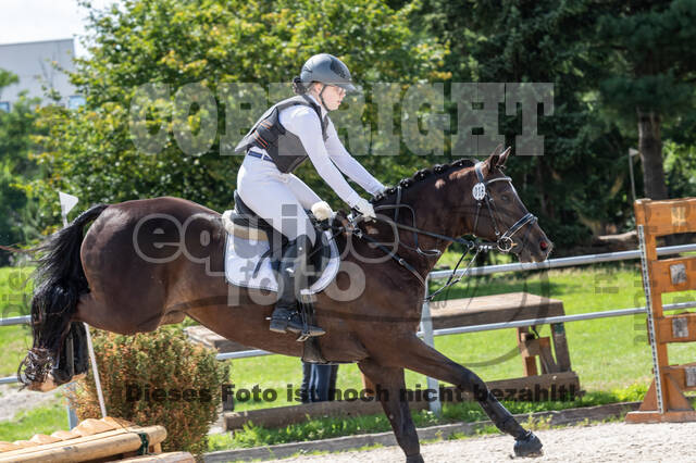 Late-Entry-Vielseitigkeit Langenfeld (06.+07.07.2020)