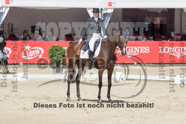 FEI European Championship Eventing 2017