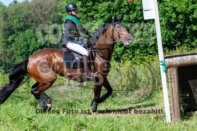 Westerstede Horse Trials (10.-13.06.2021)