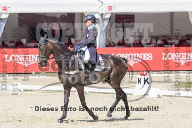 FEI European Championship