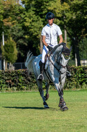 Kronenberg - De Peelbergen (August 2020)