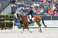 FEI European Championship Eventing 2019
