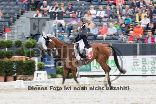 FEI European Championship Eventing 2019