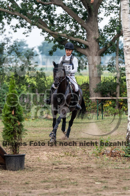 De Peelbergen (August 2020)