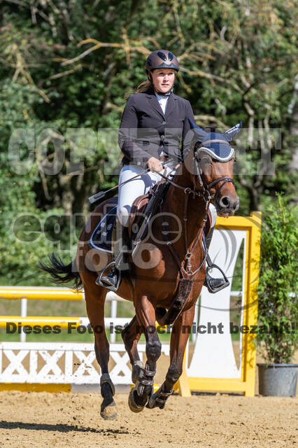 RFV Dinslaken-Hiesfeld (Herbstturnier)
