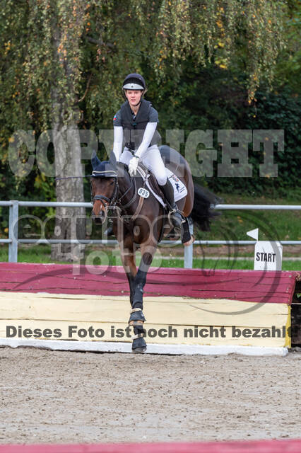 Reiter Schleswig-Holstein