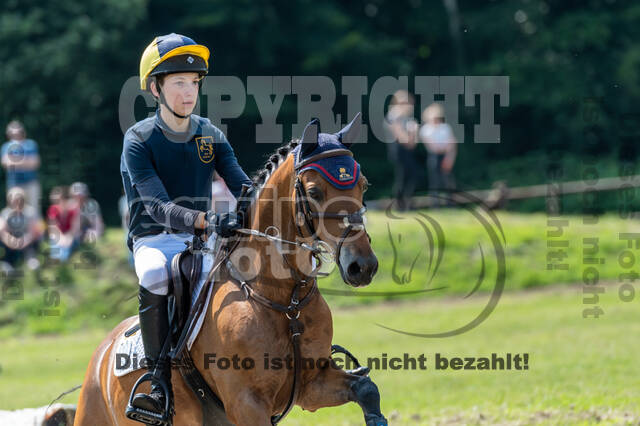 Goldene Schärpe 2021 - Ponys