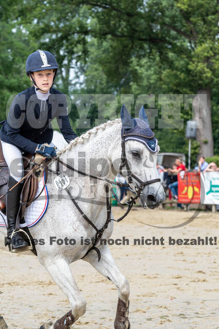 Goldene Schärpe 2021 - Ponys