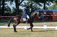 Kronenberg - De Peelbergen (August 2020)