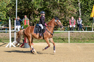 RFV Dinslaken-Hiesfeld (Herbstturnier)