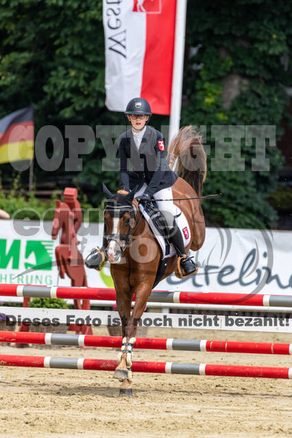 Goldene Schärpe 2021 - Ponys