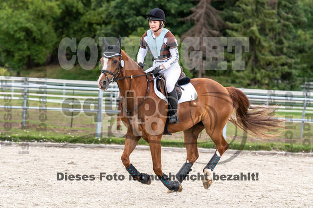 Late-Entry-Vielseitigkeit Langenfeld (06.+07.07.2020)