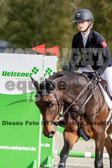 Deutsche Meisterschaft Vielseitigkeit (Luhmühlen)