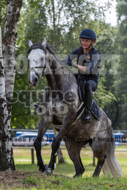 Hunter Geländetraining 10.07.2021 (Sonsbeck)