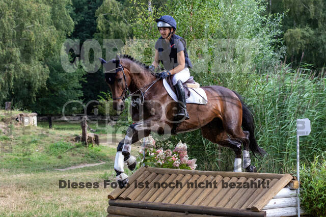 Late-Entry Vielseitigkeit Hamminkeln/Wesel (01.+02.08.2020)