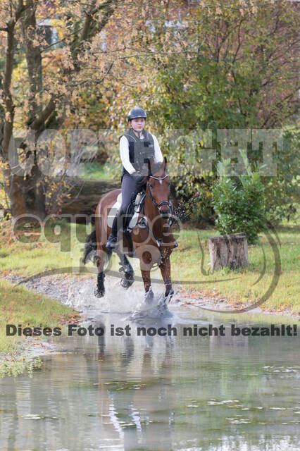 IGV Lehrgang der Sieger der Cups mit Frank Ostholt
