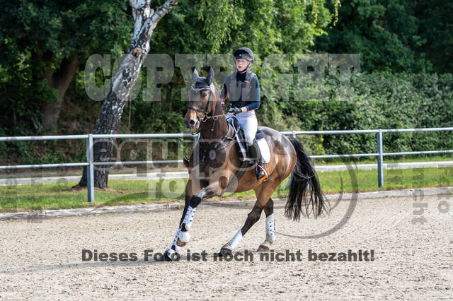 Late-Entry-Vielseitigkeit Langenfeld (11.+13./14.06.2020)