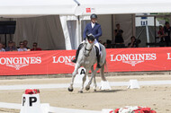 FEI European Championship Eventing 2017