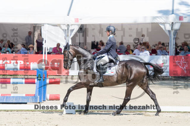 FEI European Championship