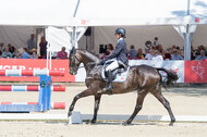 FEI European Championship