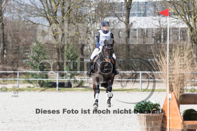 Eventing Langenfeld 2018