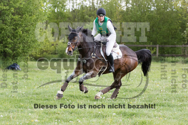 Sterne über Münster 2019 - CCI***S