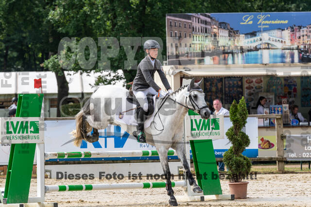 Goldene Schärpe 2021 - Ponys